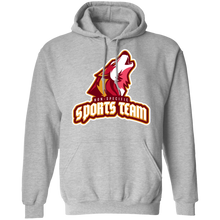 Load image into Gallery viewer, NO SPECIFIC SPORTS TEAM FUNNY parody SPOOF HOODIE sweatshirt