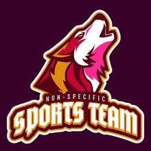 Load image into Gallery viewer, NO SPECIFIC SPORTS TEAM FUNNY parody SPOOF T SHIRT