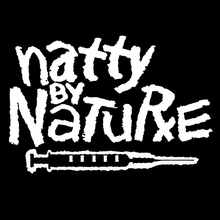 Load image into Gallery viewer, NATTY BY NATURE T SHIRT STEROIDS

