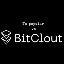 Load image into Gallery viewer, I&#39;M POPULAR ON BITCLOUT T SHIRT
