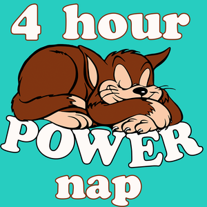 FUNNY FOUR HOUR CAT NAP T SHIRT