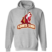 Load image into Gallery viewer, NO SPECIFIC SPORTS TEAM FUNNY parody SPOOF HOODIE sweatshirt
